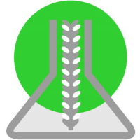 Company Icon