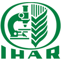 Company Icon