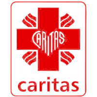 Company Icon